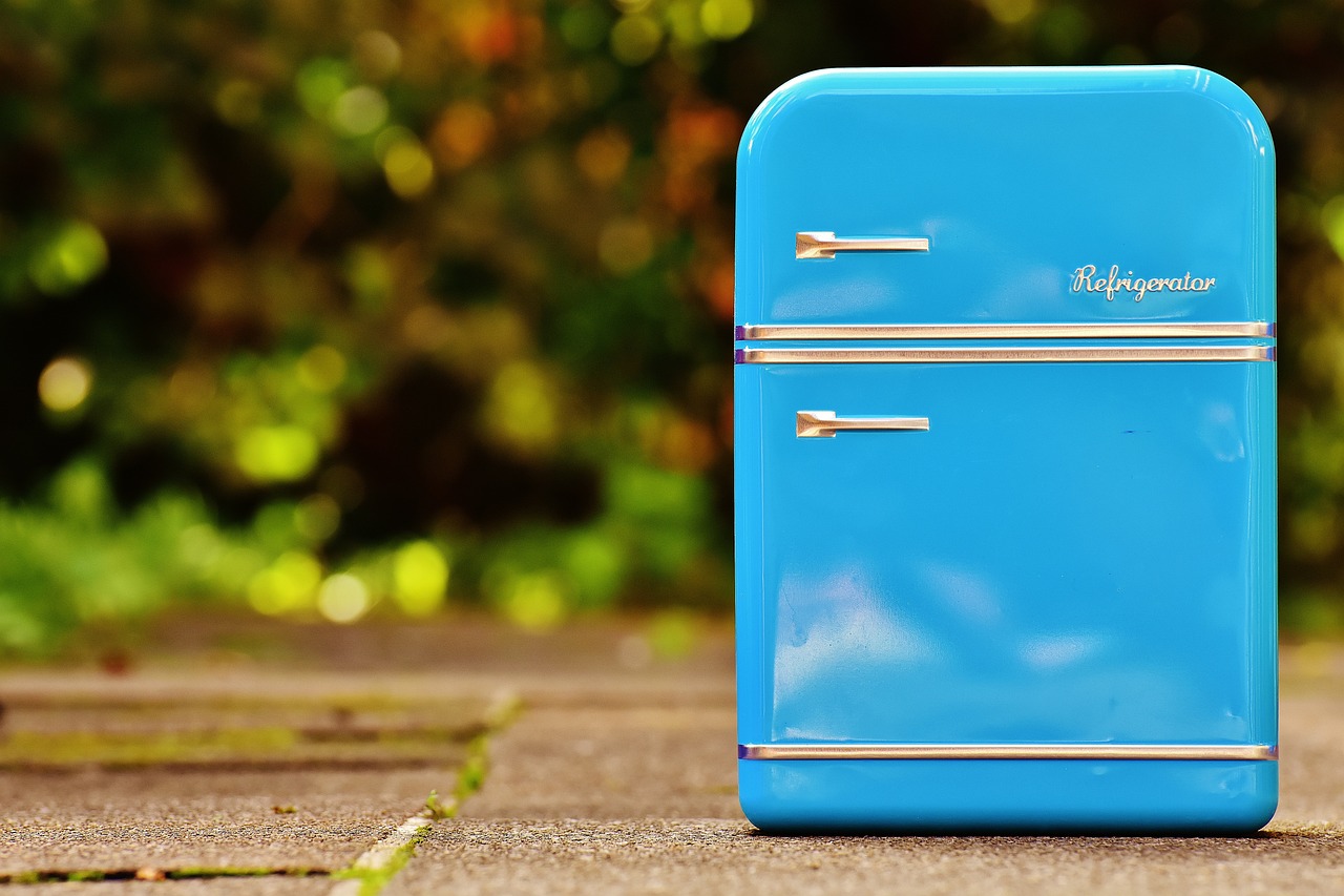 Sustainable Refrigeration Technologies for a Cooler Planet